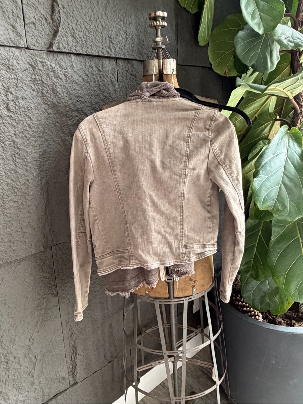 Free People Taupe Cropped Jean Jacket with Attached Scarf - Picture 3 of 6